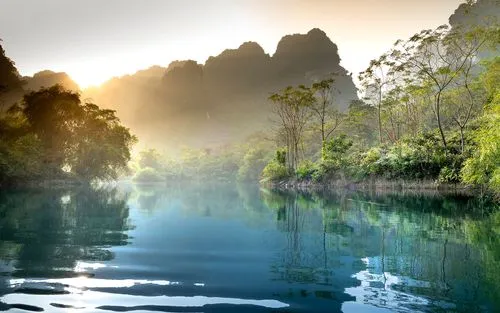 绿色高效高质量
